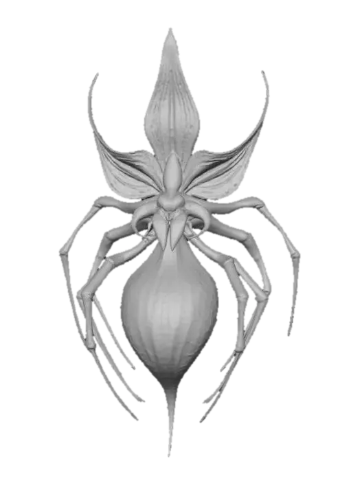 3D model for #Halloween2025#, orchid spider