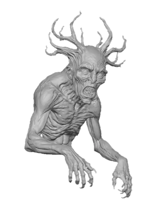 3D model for Forest Sentinel