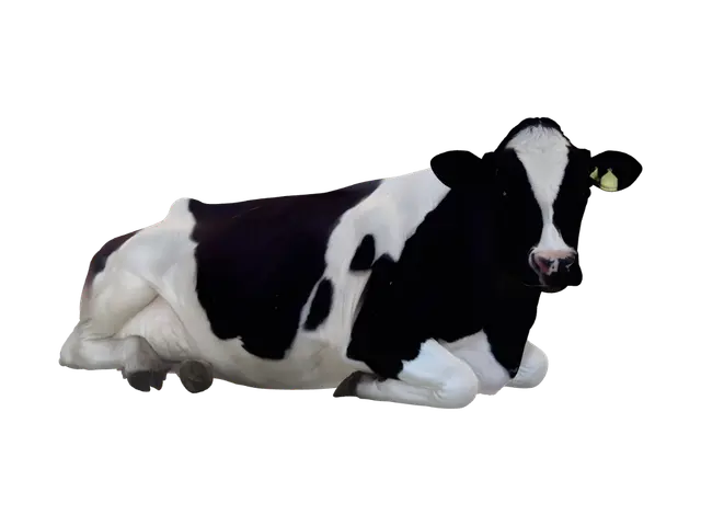 Holstein Resting in the Field - Cow 3D model, vytvořený pomocí AI