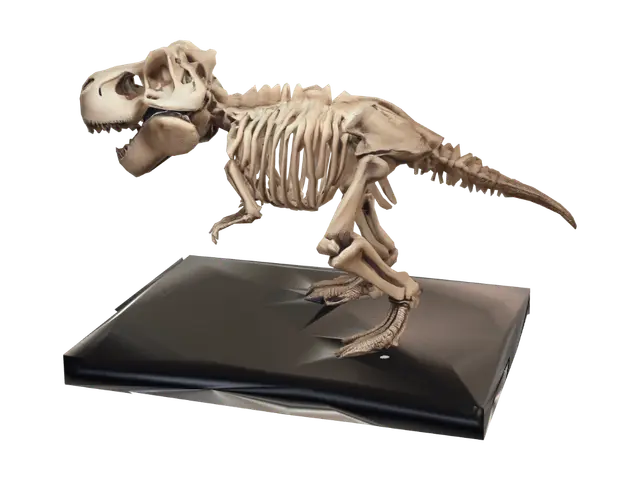 3D model for A display of a big T-Rex skeleton, (highly detailed)