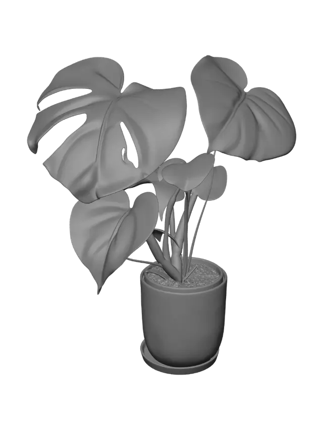 3D model for Monstera deliciosa in a white pot