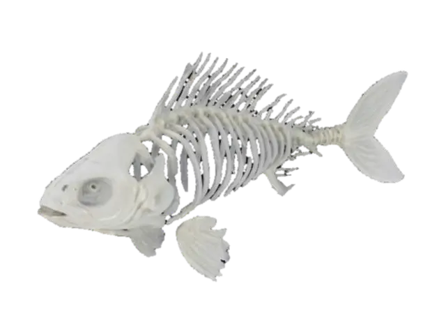 Grey Fish with ribcage like bones for exoskeleton 3D model, vytvořený pomocí AI