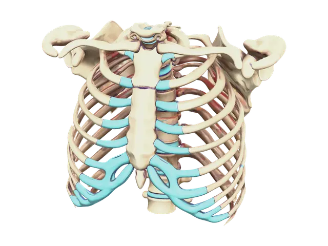 Realistic Rib Cage - Ribcage 3D model, vytvořený pomocí AI