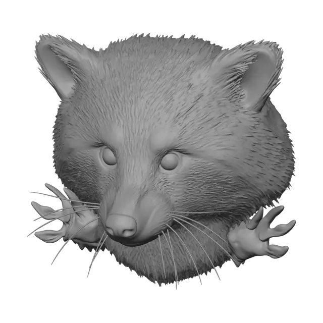 3D model for Peekaboo Raccoon