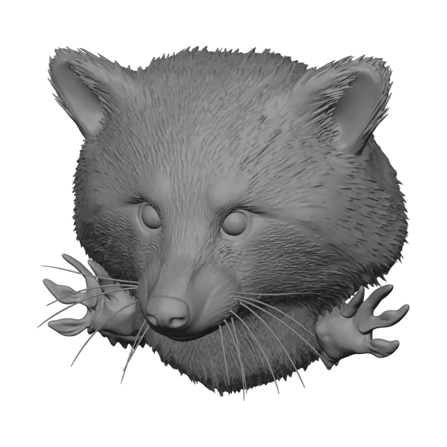 3D model for Peekaboo Raccoon