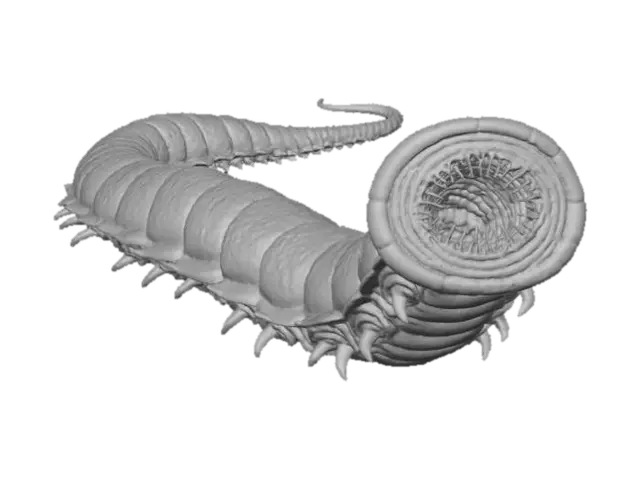 3D model for Desert Colossus