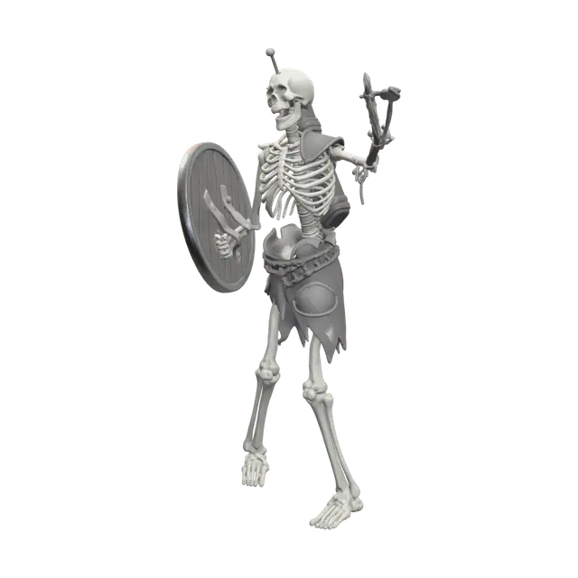 3D model for Modern Skeleton Anatomy