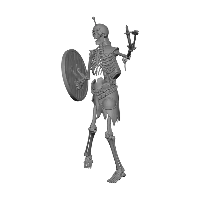 3D model for Modern Skeleton Anatomy