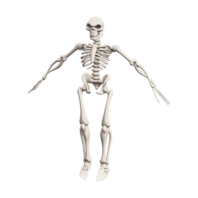 Realistic Skeleton Anatomy 3D model, vytvořený pomocí AI