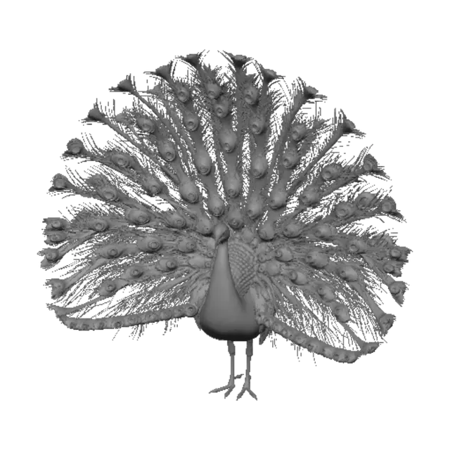 3D model for Peacock Fan