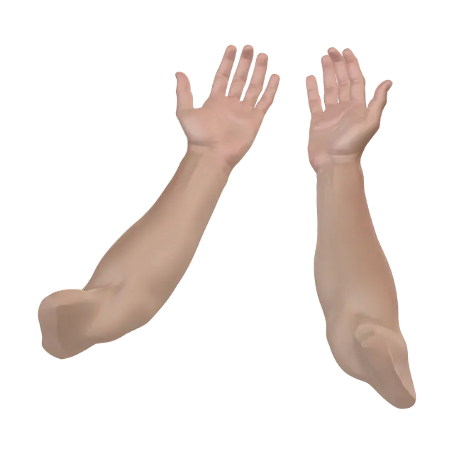 3D model for Raised Hands