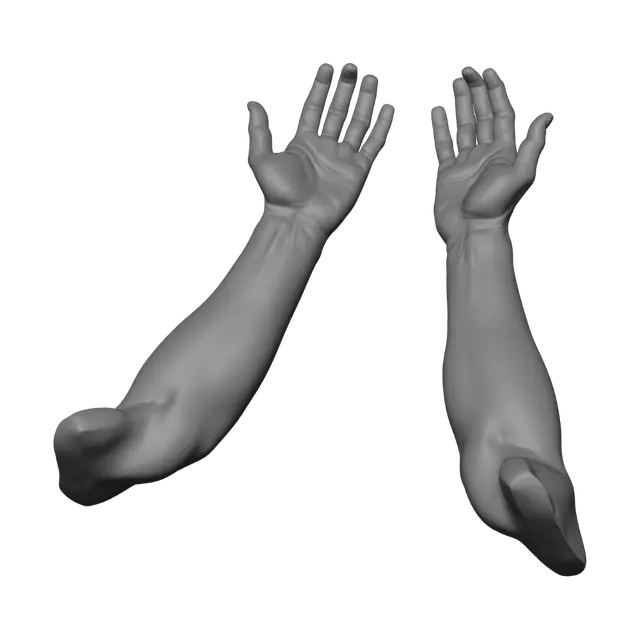 3D model for Raised Hands