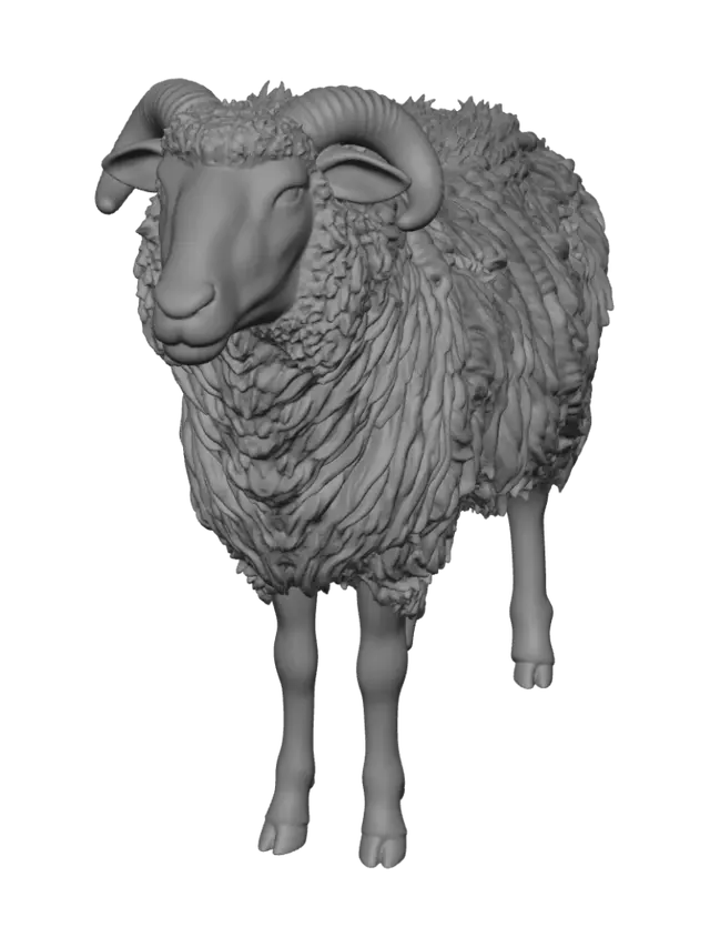 3D model for Woolly
