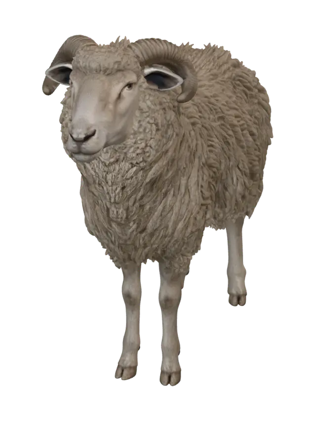 3D model for Woolly