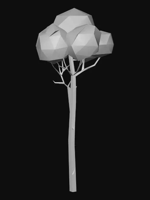 3D model for Low poly single birch tree, tall slender white bark trunk, small light green round canopy, delicate branches, 12 meters tall, game asset, neutral background