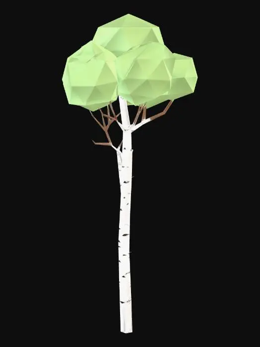 3D model for Low poly single birch tree, tall slender white bark trunk, small light green round canopy, delicate branches, 12 meters tall, game asset, neutral background