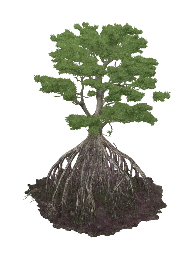 3D model for Roots of Resilience