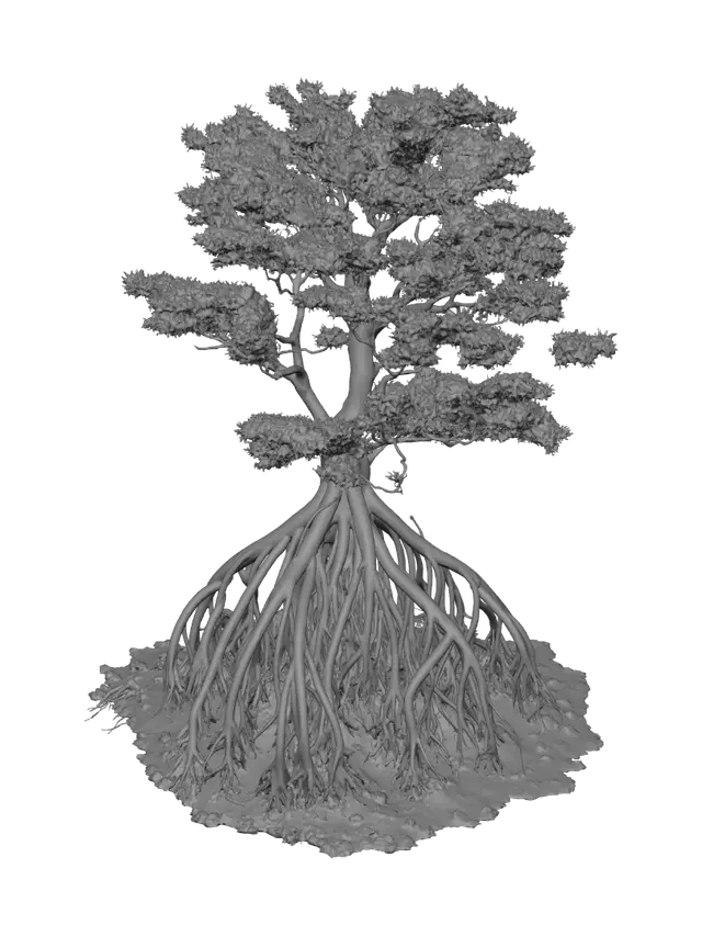 3D model for Roots of Resilience