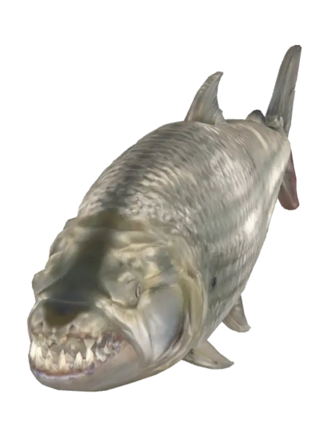 3D model for Toothy River Predator