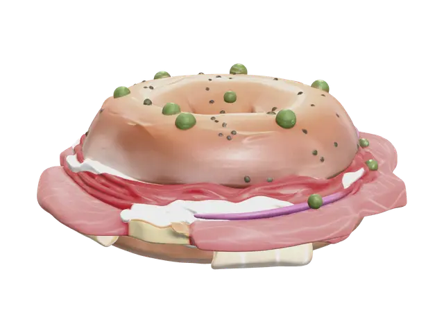 3D model for Bagel