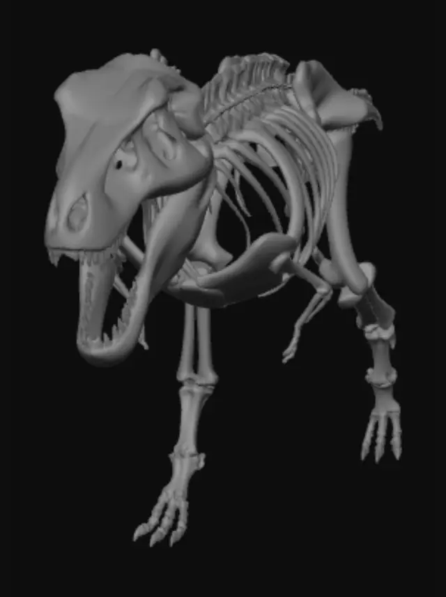 3D model for Tyrannosaurus Rex Skeleton