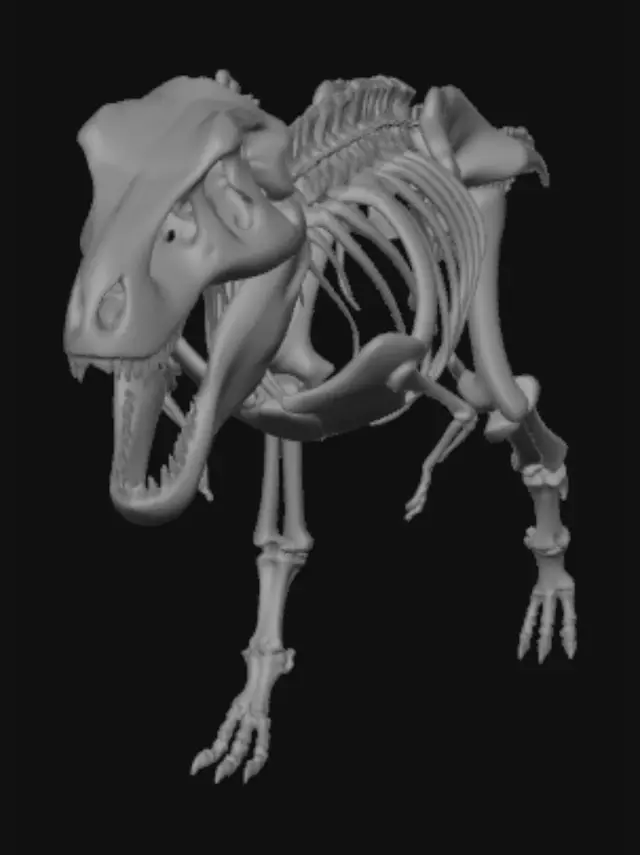 3D model for Tyrannosaurus Rex Skeleton