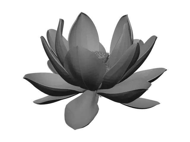 3D model for Lotus Flower