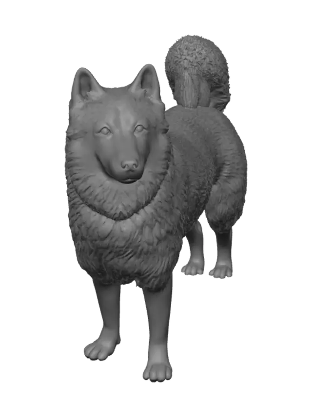 3D model for Autumn Husky in the Park