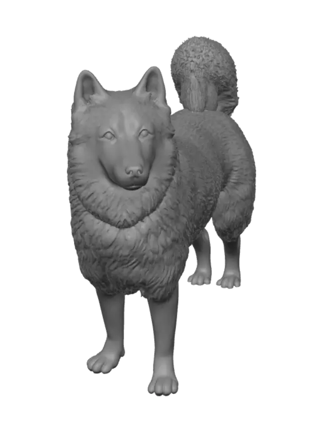 3D model for Autumn Husky in the Park