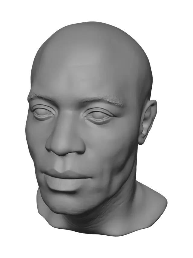 3D model for Quiet Gaze