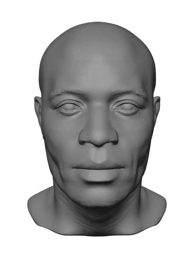 3D model for Quiet Gaze