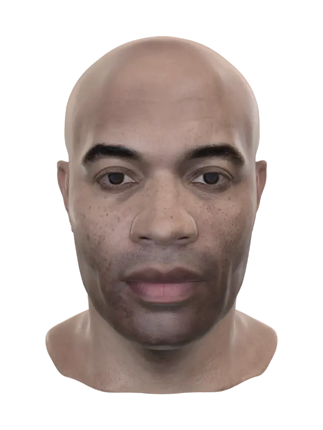 3D model for Quiet Gaze