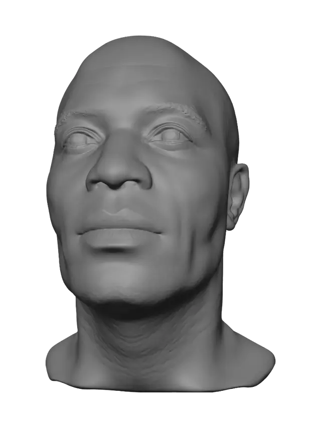 3D model for Quiet Gaze