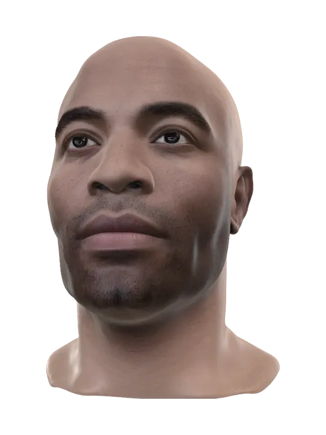 3D model for Quiet Gaze