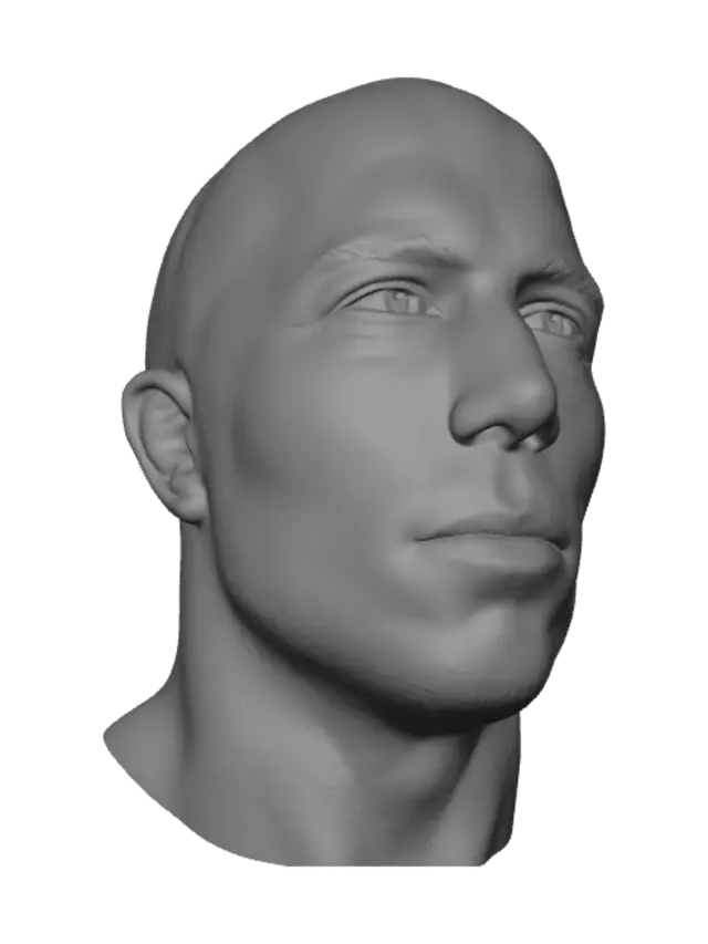 3D model for Shiny Bald Close-Up