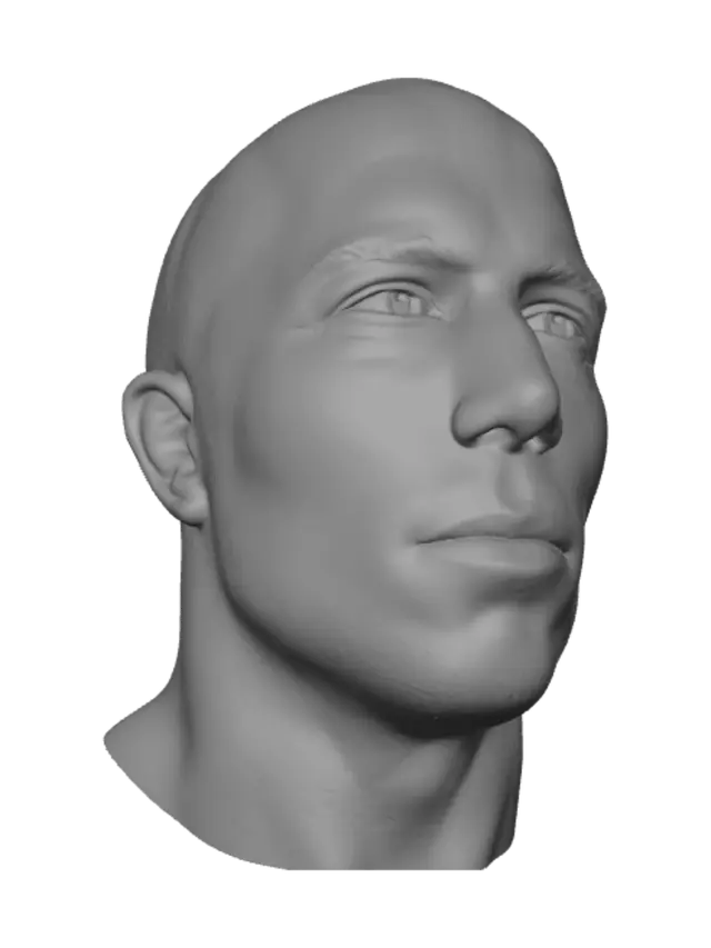 3D model for Shiny Bald Close-Up