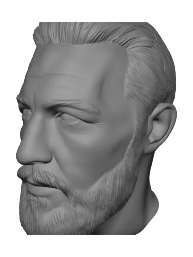 3D model for Bearded Portrait