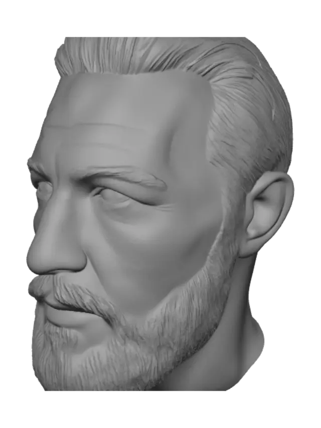 3D model for Bearded Portrait