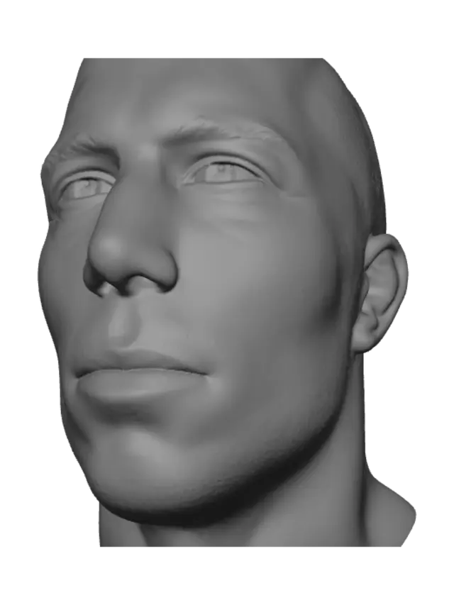 3D model for Shiny Bald Close-Up
