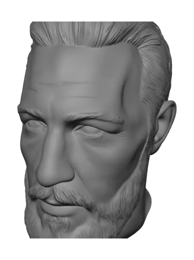 3D model for Bearded Portrait