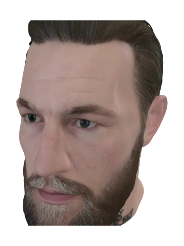 3D model for Bearded Portrait