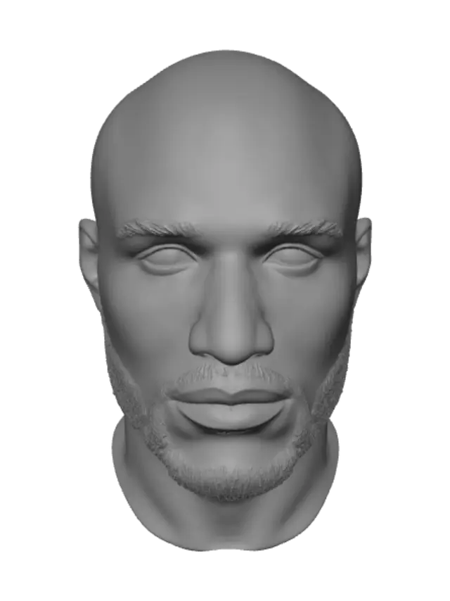 3D model for Portrait of a Bearded Man
