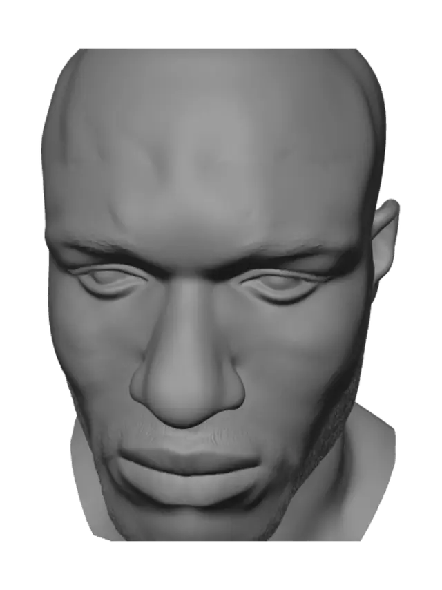 3D model for Close-Up Portrait of a Silver-Bearded Man