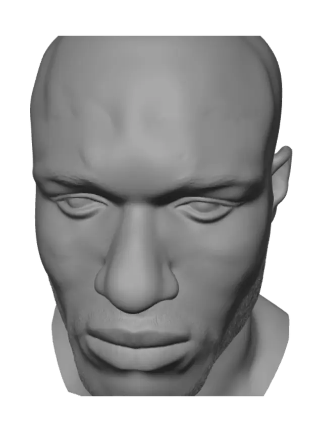 3D model for Close-Up Portrait of a Silver-Bearded Man