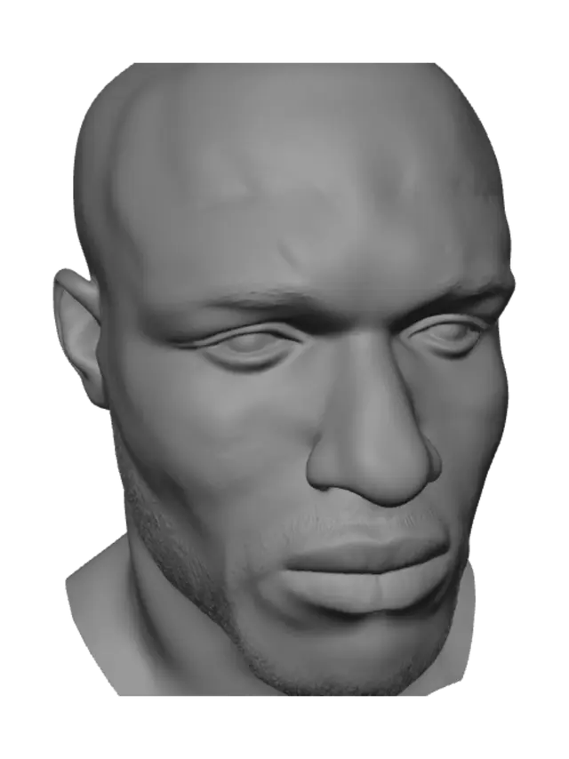3D model for Close-Up Portrait of a Silver-Bearded Man