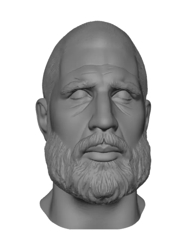 3D model for Rugged Bearded Portrait
