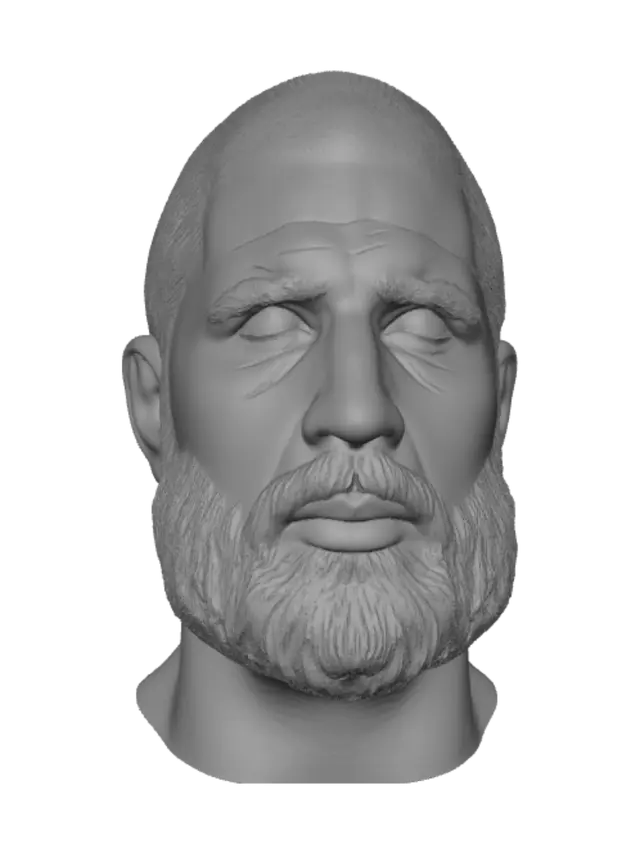 3D model for Rugged Bearded Portrait