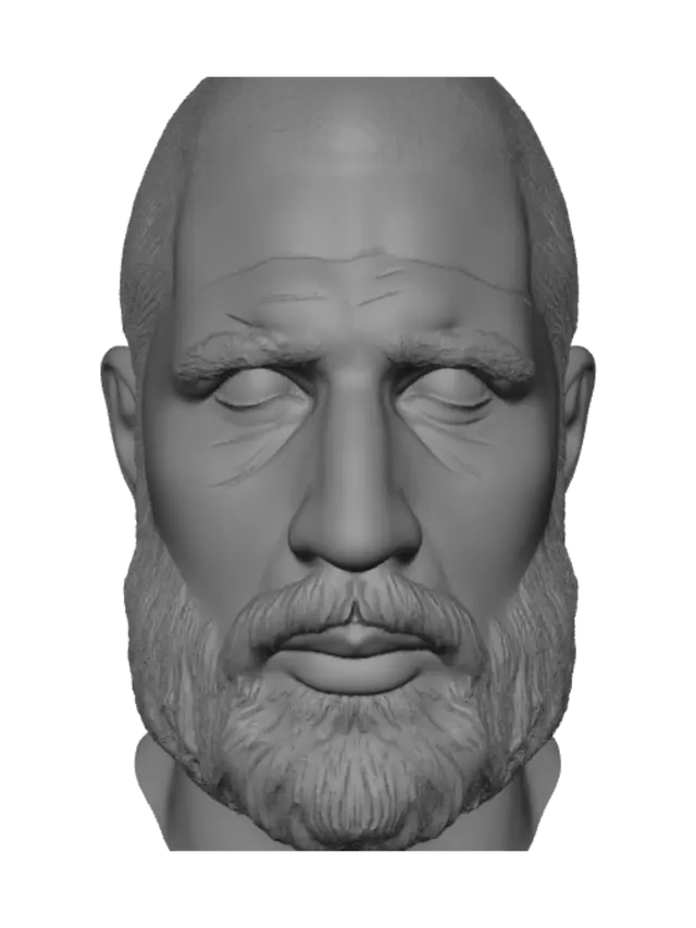 3D model for Rugged Bearded Portrait