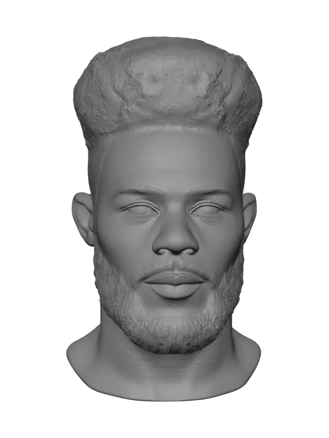 3D model for Bearded Afro Portrait