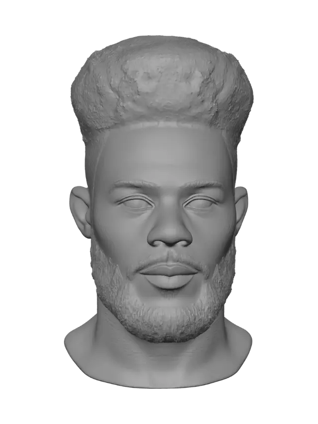 3D model for Bearded Afro Portrait